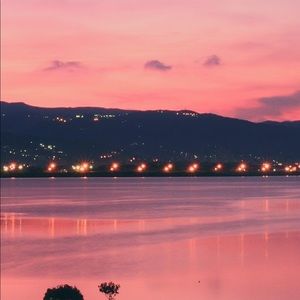 Meet your Posher, Lacey